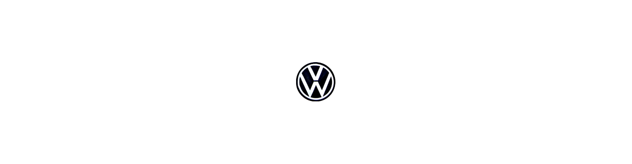 Volkswagen (VW)